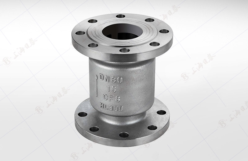 Stainless Steel Vertical Check Valve
