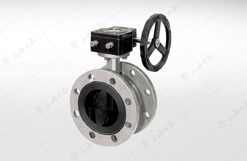 Stainless Steel Worm Flange Butterfly Valve